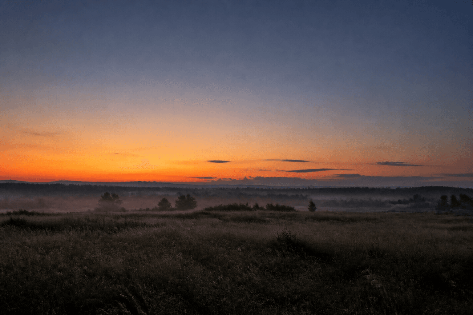 Quiet field at first light